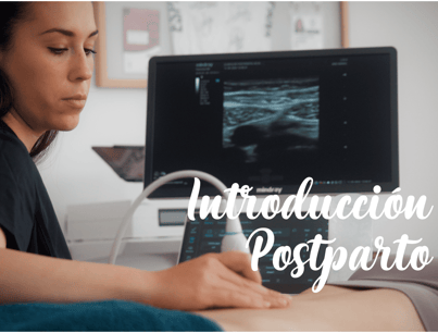 Introducción a tu Recuperación Posparto